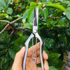 Kéo tỉa dăm thép trắng đúc nguyên khối không gỉ BS-05-2