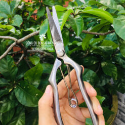 Kéo tỉa dăm thép trắng đúc nguyên khối không gỉ BS-05-3