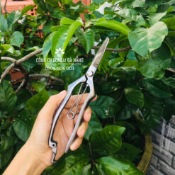 Kéo tỉa dăm thép trắng đúc nguyên khối không gỉ BS-05-1