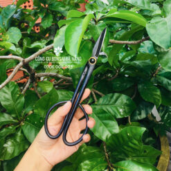 Kéo tỉa bầu bonsai cao cấp lưỡi dài (chiều dài 20.5cm) BS-14-02