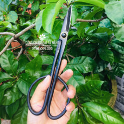 Kéo tỉa bầu bonsai cao cấp lưỡi dài (chiều dài 20.5cm) BS-14-01