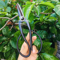 Kéo tỉa bầu bonsai cao cấp lưỡi vừa (chiều dài 19.5cm) BS-15-01