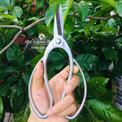 Kéo tỉa bầu thép trắng đúc cao cấp lưỡi vừa (chiều dài 19.5cm) BS-17-02