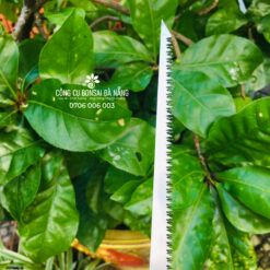 Cưa lách bản nhỏ kẹt lách cây cảnh cán gỗ BS-42-03
