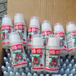 Chất tăng cường sinh trưởng thực vật HB-101 dùng cho cây cảnh, bonsai PBT-03-03