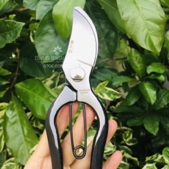 Kéo cắt cành, kéo cắt tỉa cành cây mỏ quạ hàng thép đúc đen nguyên khối cao cấp KCC-031-1