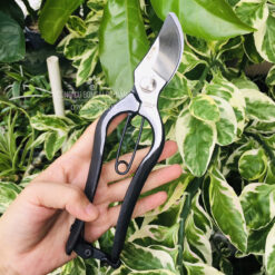 Kéo cắt cành, kéo cắt tỉa cành cây mỏ quạ hàng thép đúc đen nguyên khối cao cấp KCC-031-3