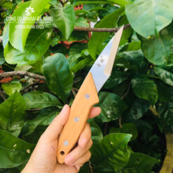 Dụng cụ chiết ghép