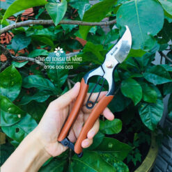 Kéo cắt cành