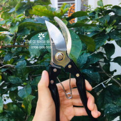 Kéo cắt cành cao cấp cán đen V9-K15 [KCC-11] - Công cụ Bonsai Đà Nẵng-2