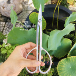 Kéo tỉa bầu, kéo tỉa dăm bonsai cao cấp đa năng mũi dài thép trắng không gỉ 20.5cm KTD-10-2