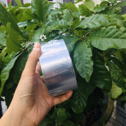 Băng keo bạc dán mặt sẹo (mặt cắt) bonsai, cây cảnh giúp cây liền sẹo nhanh [CGC-24]-1