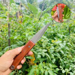 Dao ghép cành cán gỗ gập cao cấp Mori Wood thương hiệu Sachito CGC-25-1