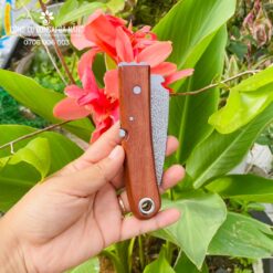 Dao ghép cành cán gỗ gập cao cấp Mori Wood thương hiệu Sachito CGC-25-2