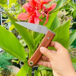 Dao ghép cành cán gỗ gập cao cấp Mori Wood thương hiệu Sachito CGC-25-3