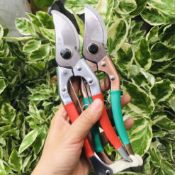 Kéo cắt cành thép đúc Mingzuan tay bọc nilon chống trượt 210mm KCC-13-2