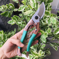 Kéo cắt cành thép đúc Mingzuan tay bọc nilon chống trượt 210mm KCC-13-4