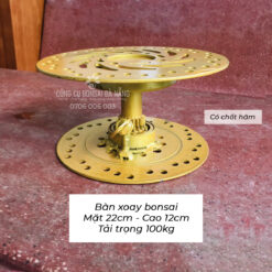 Bàn xoay cây bonsai cây cảnh, xoay gốm, kê xoay chậu, xoay đồ mỹ nghệ 22cm x 12cm chịu tải trọng 100kg [DCK-05]-2