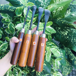 Combo 04 mũi đục bonsai thủ công cao cấp lưỡi vũm/dũm (đục cong) [DUC-012.5.6.7]-3