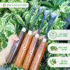 Combo 04 mũi đục bonsai thủ công cao cấp lưỡi vũm/dũm (đục cong) DUC-012.5.6.7