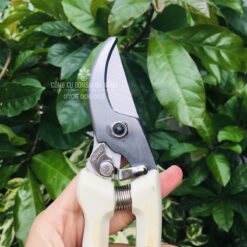 Kéo cắt cành, kéo cắt tỉa cành cây mỏ quạ cán trắng 200mm có khóa an toàn KCC-15-1