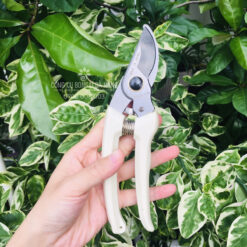 Kéo cắt cành, kéo cắt tỉa cành cây mỏ quạ cán trắng 200mm có khóa an toàn KCC-15-2