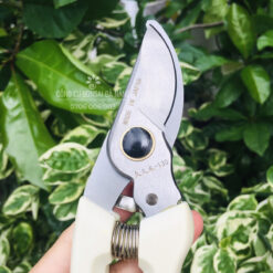 Kéo cắt cành, kéo cắt tỉa cành cây mỏ quạ cán trắng 200mm có khóa an toàn KCC-15-3