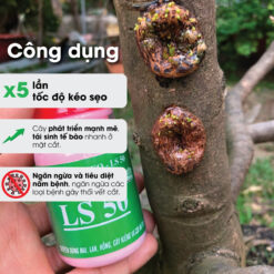 Keo liền sẹo cho cây, keo liền da cây bảo vệ mặt cắt ghép LS 50 (chai 100gr) CGC-02.50.100-3