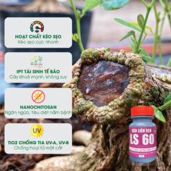 Keo liền sẹo cho cây, keo liền da cây bảo vệ mặt cắt ghép LS 60 (chai 100gr) CGC-02.60.100-4