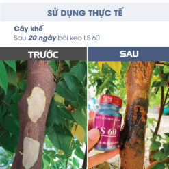 Keo liền sẹo cho cây, keo liền da cây bảo vệ mặt cắt ghép LS 60 (chai 100gr) CGC-02.60.100-5