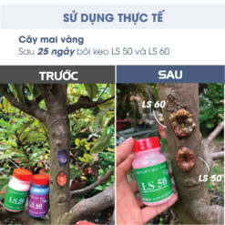 Keo liền sẹo cho cây, keo liền da cây bảo vệ mặt cắt ghép LS 60 (chai 100gr) CGC-02.60.100-6