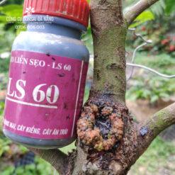 Keo liền sẹo cho cây, keo liền da cây bảo vệ mặt cắt ghép LS 60 (chai 100gr) CGC-02.60.100-2