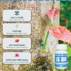 Keo siêu kích mầm, tạo chồi LS 80 cho mai vàng và các dòng cây thân gỗ (chai 30gr) CGC-02.80.30-1