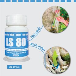 Keo siêu kích mầm, tạo chồi LS 80 cho mai vàng và các dòng cây thân gỗ (chai 30gr) CGC-02.80.30-4