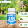 Keo siêu kích mầm, tạo chồi LS 80 cho mai vàng và các dòng cây thân gỗ (chai 30gr) CGC-02.80.30