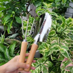 Bộ xẻng và cào mini làm vườn INOX A0708 C-MART cao cấp không gỉ sét [DCK-23]-5