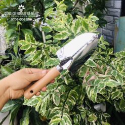 Bộ xẻng và cào mini làm vườn INOX A0708 C-MART cao cấp không gỉ sét [DCK-23]-2