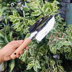 Bộ xẻng và cào mini làm vườn INOX A0708 C-MART cao cấp không gỉ sét [DCK-23]-1