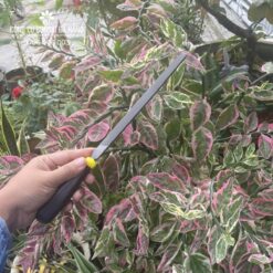 Dũa cầm tay tam giác thép carbon cao cấp T12 200mm, 8 inch CDC-04-2