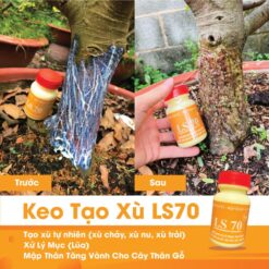 Keo tạo xù LS 70 CGC-02.70.100-2