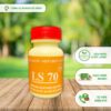 Keo tạo xù LS 70 CGC-02.70.100