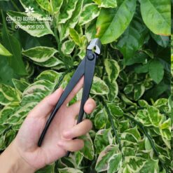 Kìm cạp xéo mini 16.5cm MST thép đúc đen nguyên khối hàng nội địa Trung Quốc [KCP-16]-2