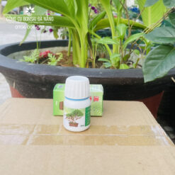 Dụng cụ làm lũa bonsai
