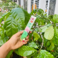 Siêu kích rễ và phục hồi cây suy yếu QD101 Nhật Bản chai 35ml PBT-12-2