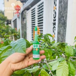 Siêu kích rễ và phục hồi cây suy yếu QD101 Nhật Bản chai 35ml PBT-12-3