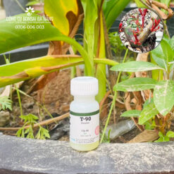 Siêu Kích Mầm - Ra Chồi Cực Mạnh T90 dùng cho mọi loại cây trồng chai 15gr CGC-18-1