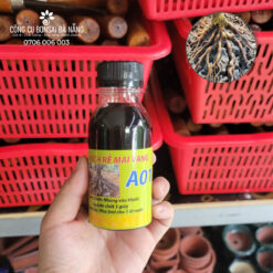 Kích rễ mai vàng A01, Kích Rễ Giâm Cành, Chiết Cành, Phục Hồi Cây Suy PBT-14-1